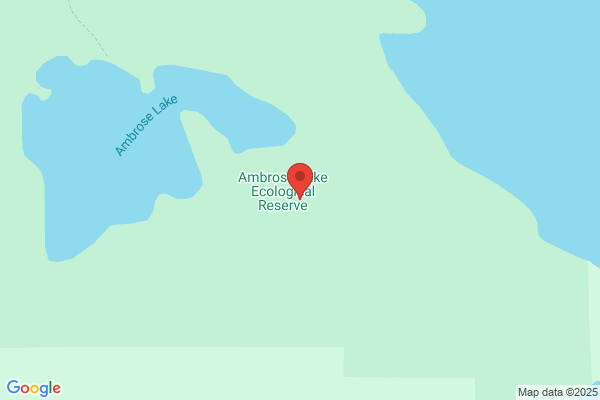 Ambrose Ecological Services