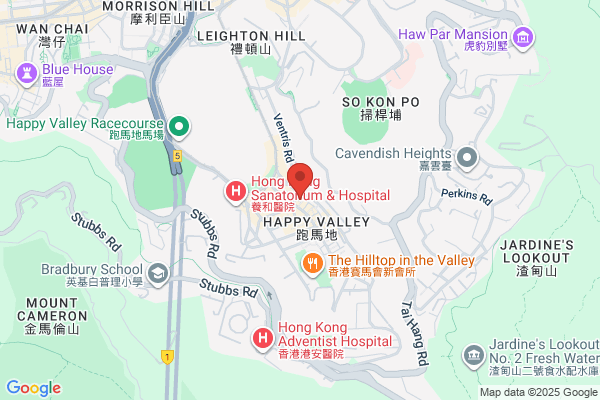 Hong Kong Cuisine