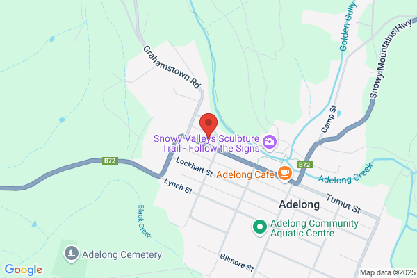 Adelong Library