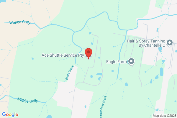 ACE Shuttle Services