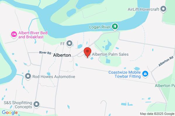 Alberton Palm Sales
