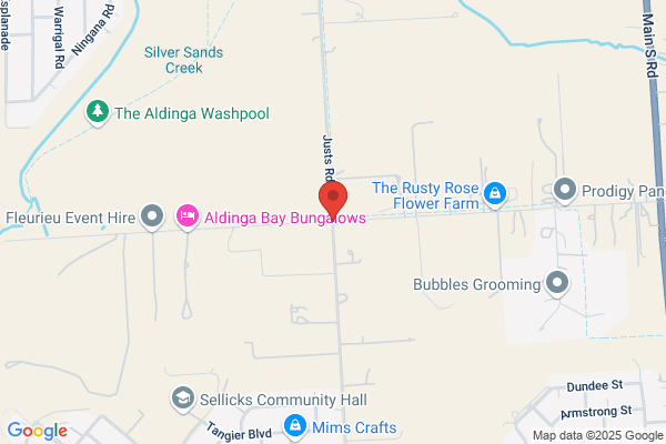 Aldinga Bay Dingo
