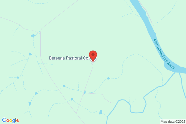 Berribee Pastoral Co