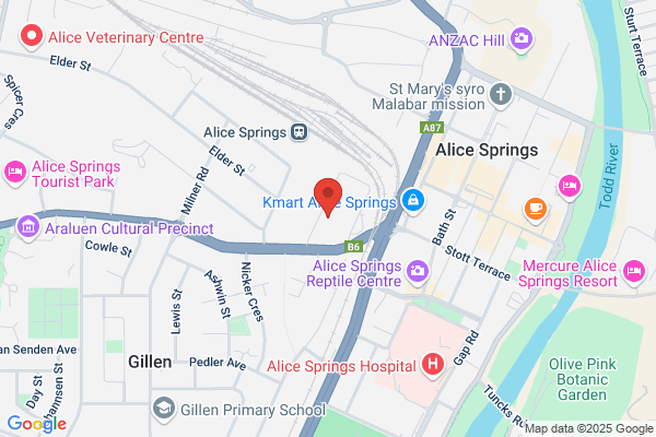 Alice Springs Brake & Clutch