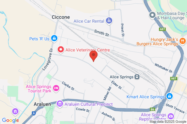 Alice Auto Repairs