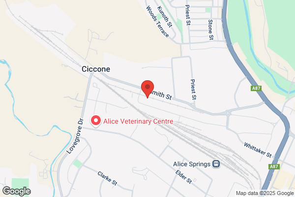Flick Pest Control Alice Springs