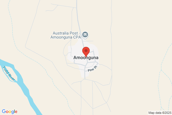 Amoonguna School
