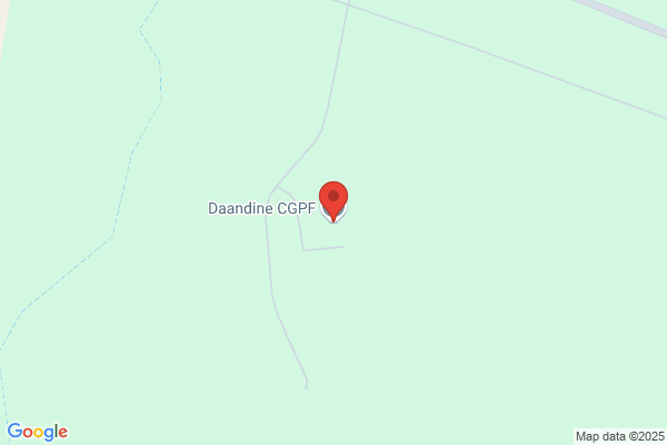 Daandine Pastoral Co Pty Ltd