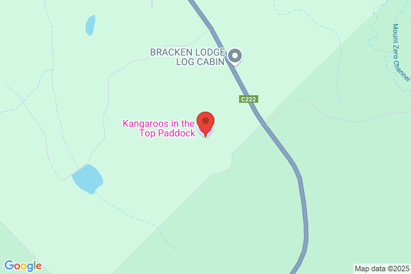 Grampians - Kangaroos in the Top Paddock