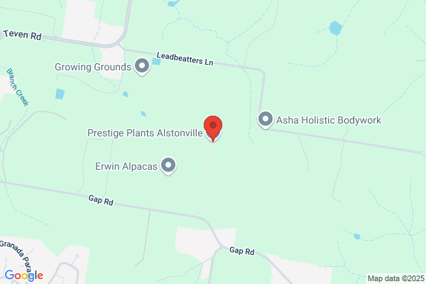 Arborteum Nursery