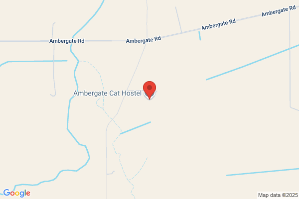 Ambergate Cat Hostel