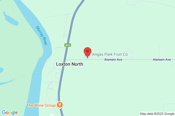 Angas Park Fruit Company Pty Ltd