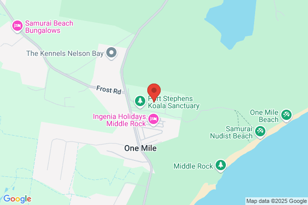 Treescape Accommodation & Camping