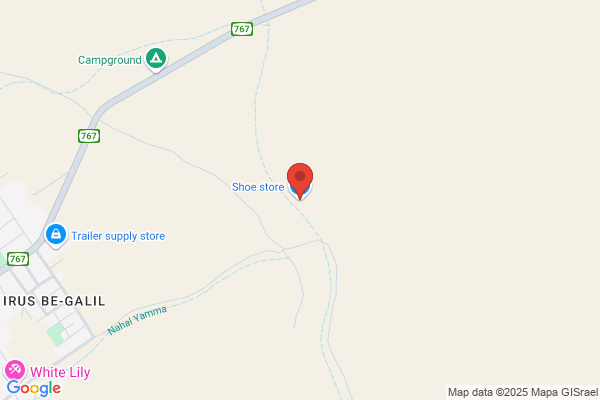Kinneret