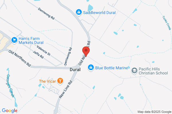 Newline Carpets Dural