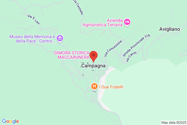 Campagna V P