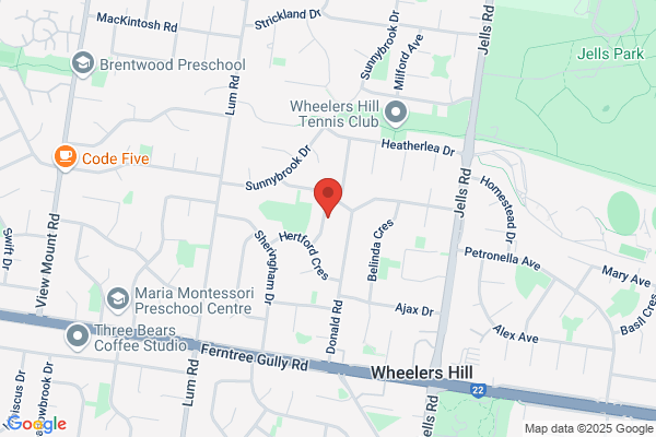 Susan Scollon Acupuncture