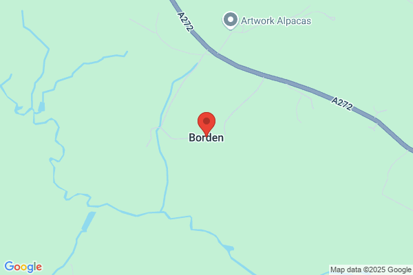 Borden P
