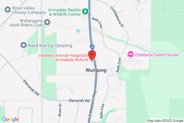 Armadale-Byford Veterinary Hospital