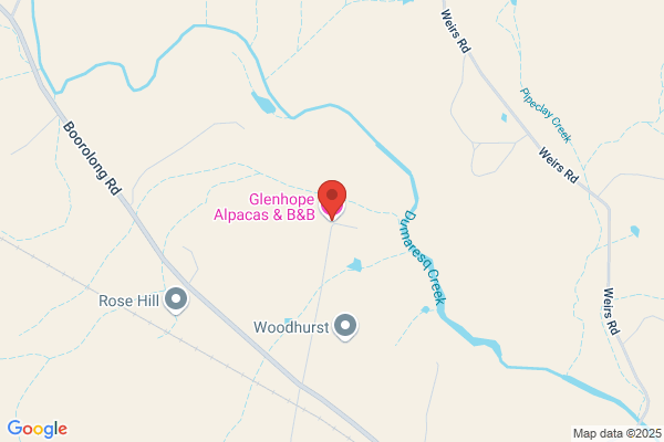 Glenhope Alpacas & B & B