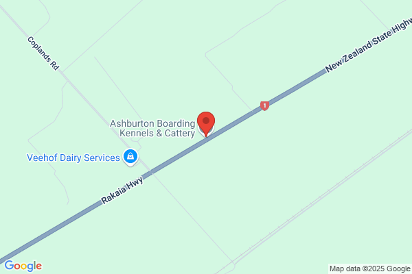 Ashburton Boarding Cattery
