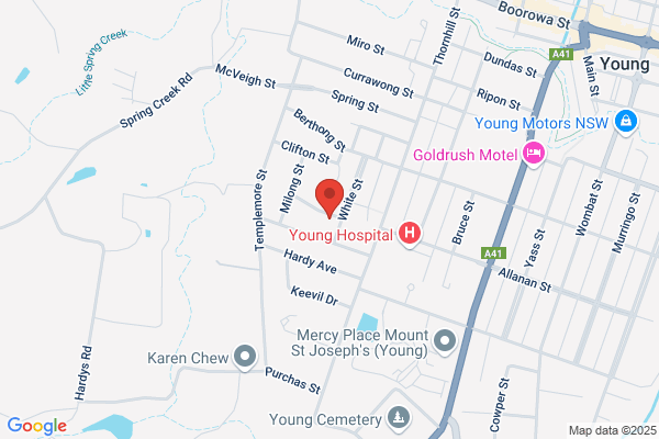 Auto Plus Driving School
