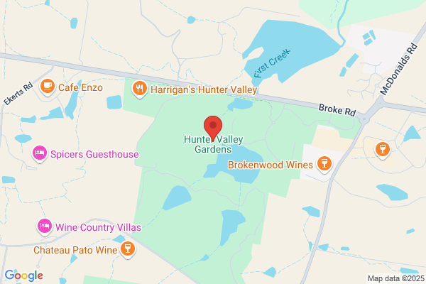 Hunter Valley Shorthorns