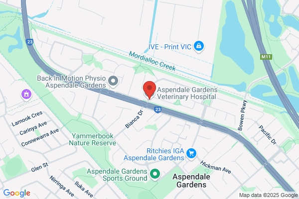 Aspendale Veterinary Clinic