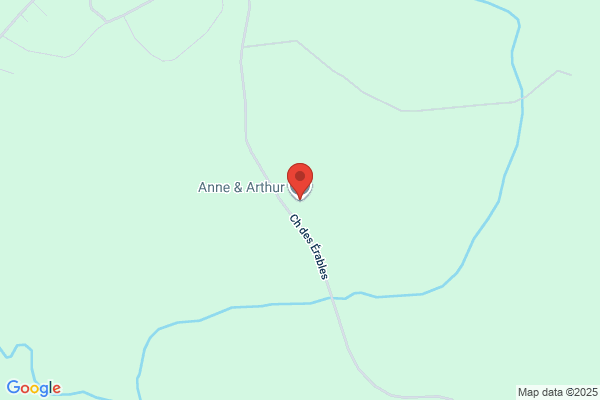 Arthur Anne