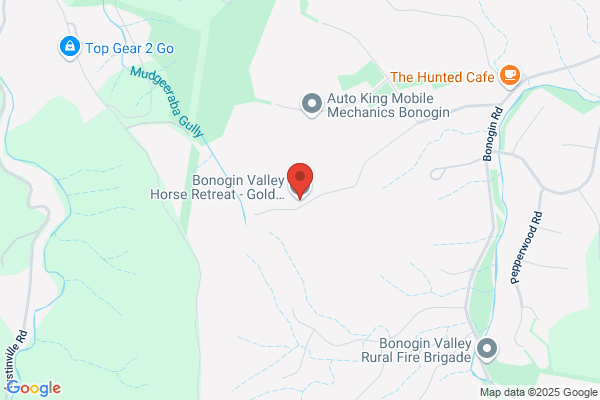 Horse Riding Hub