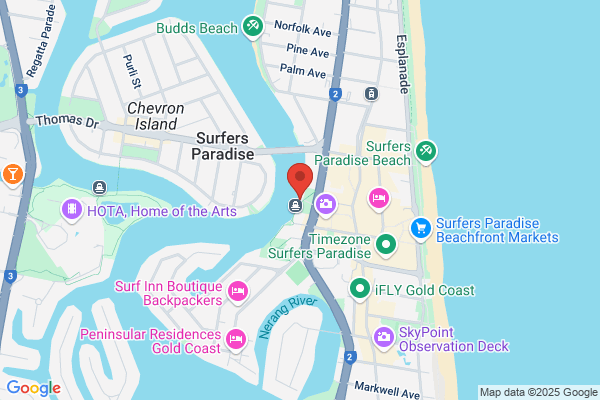Whales In Paradise