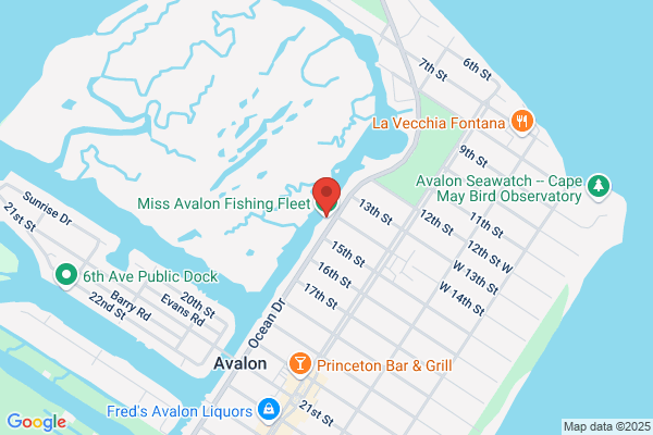Avfish Charters