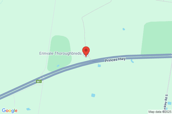 Erinvale Thoroughbreds