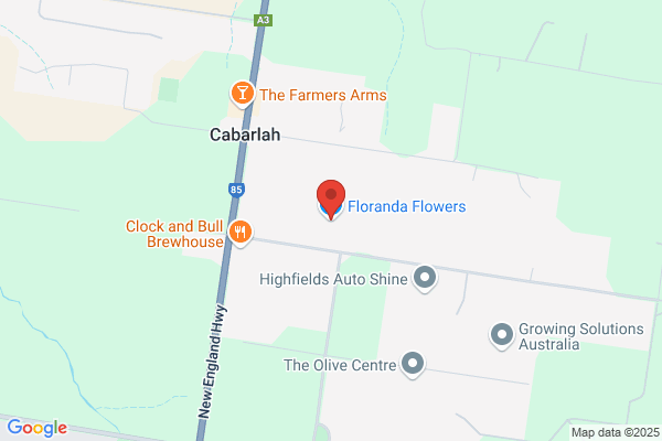 New Holland Florists