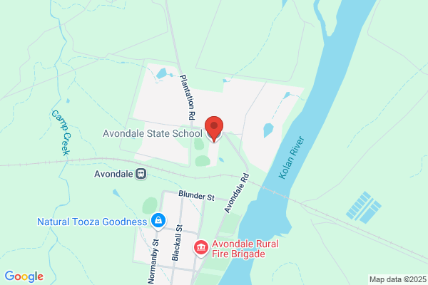 Avondale State School