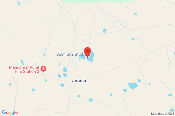 Boen Boe Stud