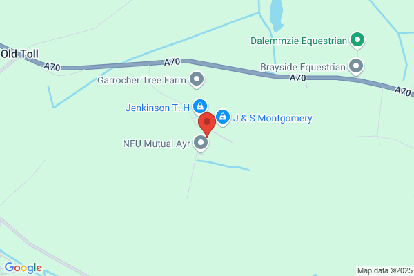 Brandon's Real Estate