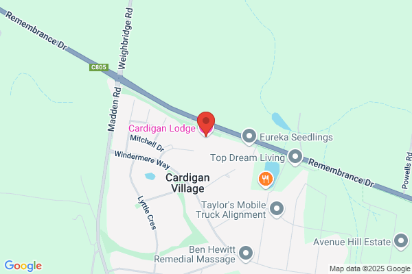 Cardigan Lodge Motel