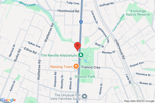 Hankin Automotive