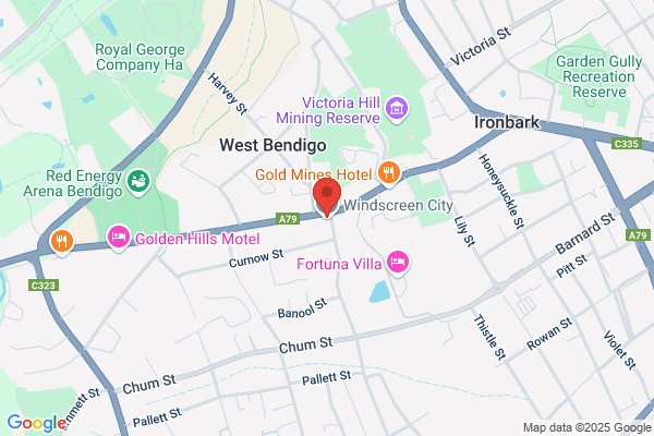 Bendigo Gas Struts