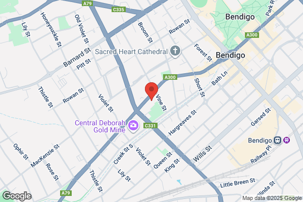 Domino's Pizza Bendigo