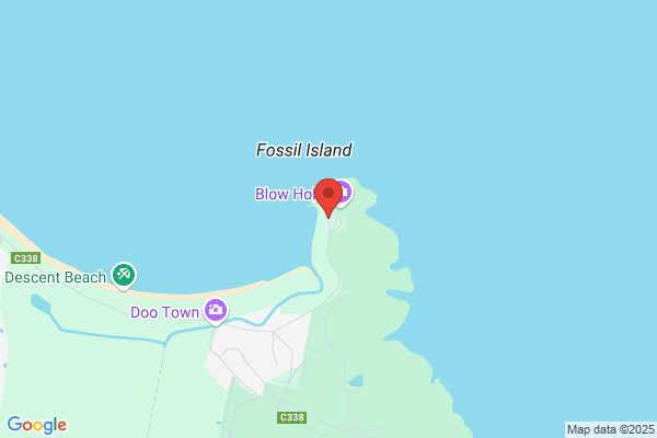 Eaglehawk Cruise & Travel