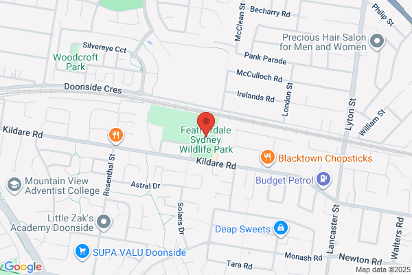 Kangaroo Park