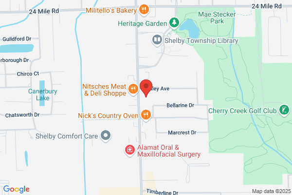 Able Tree & Stump Grinding Service