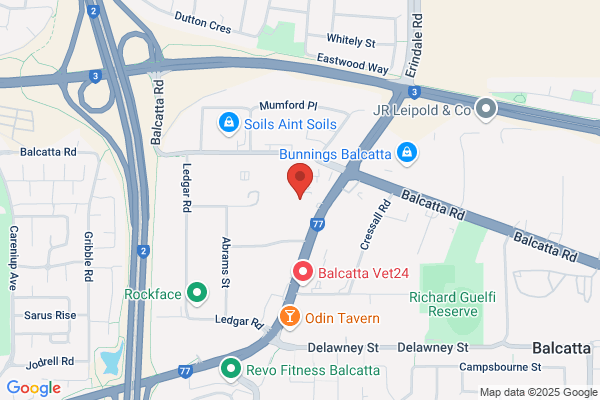 Balcatta Volkswagen Specialists