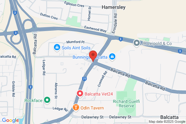 City & Inland Pest Control
