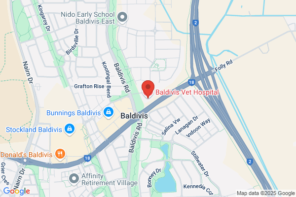 Baldivis Vet Hospital