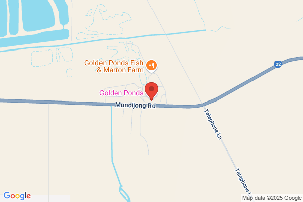 Golden Ponds