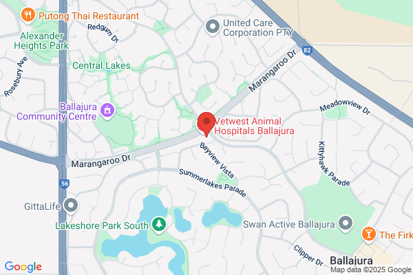 Ballajura Podiatry Surgery