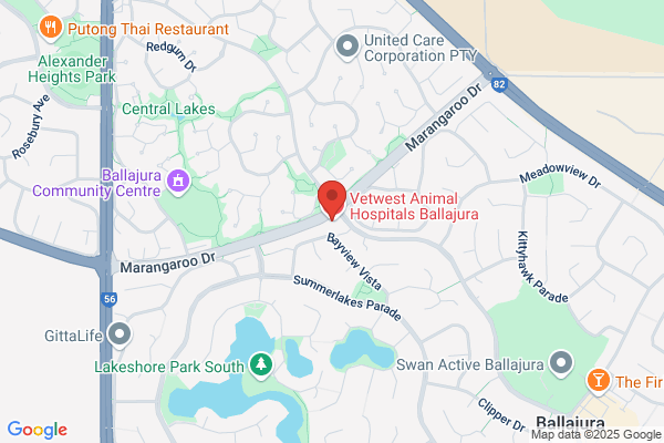 Ballajura Veterinary Hospital